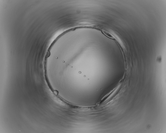 X0000091711291200709141112