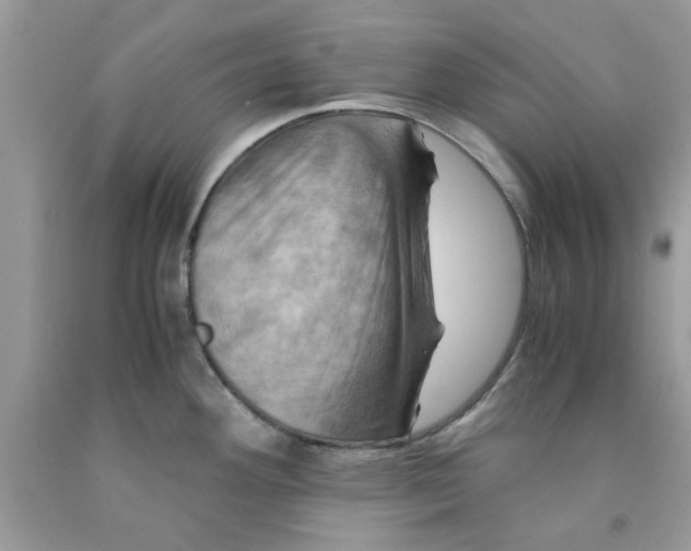 X0000091711292200709141112