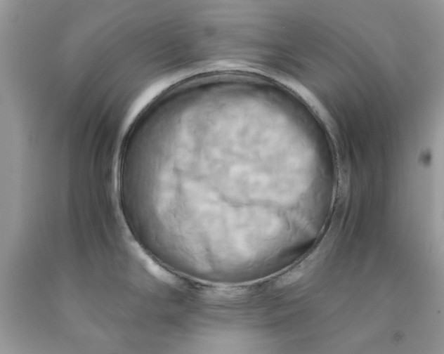 X0000091711294200709141112