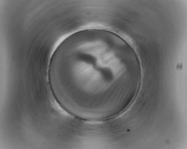 X0000091711296200709141112