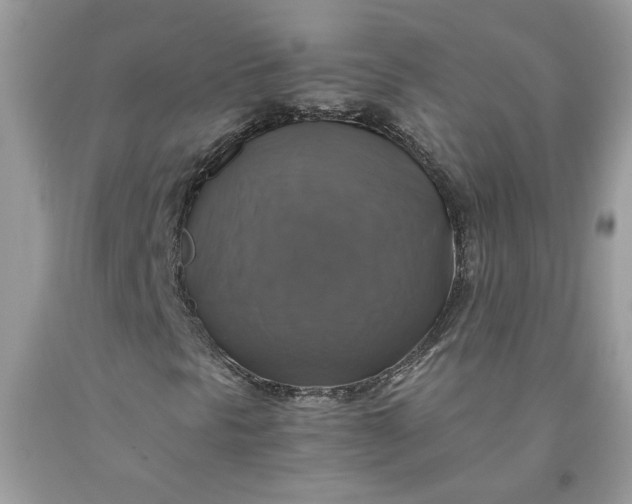 X0000091711297200709141111