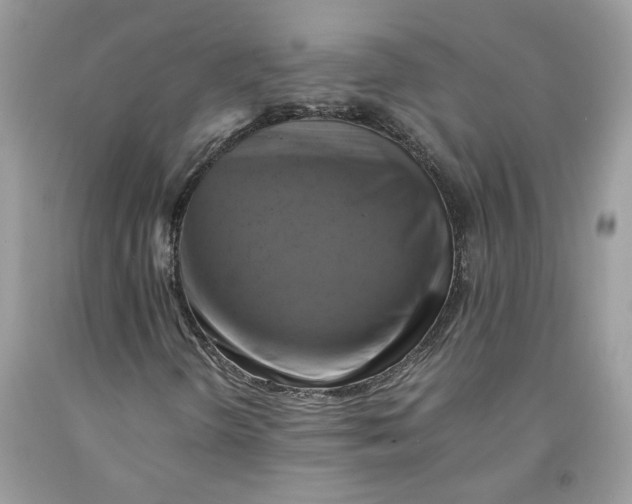 X0000091711298200709141111