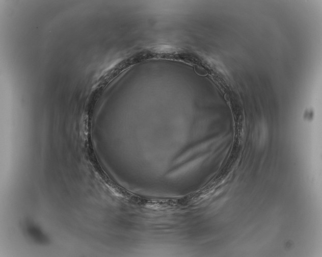 X0000091711301200709141112