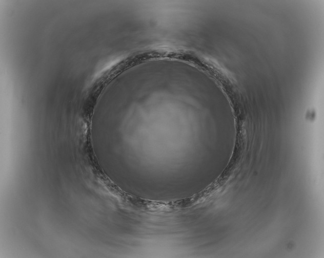 X0000091711302200709141112