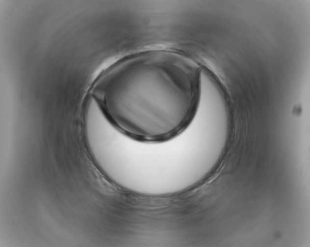 X0000091711308200709141112