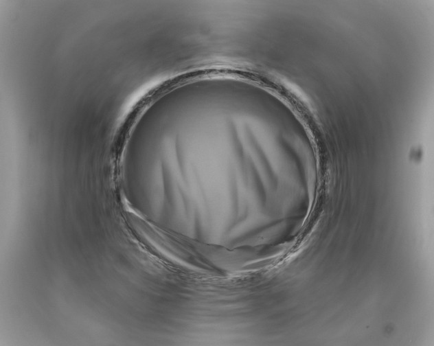 X0000091711310200709141112