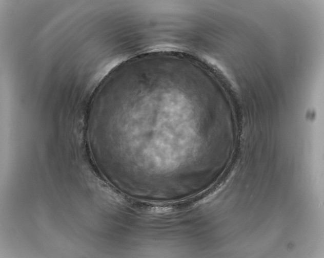 X0000091711313200709141112