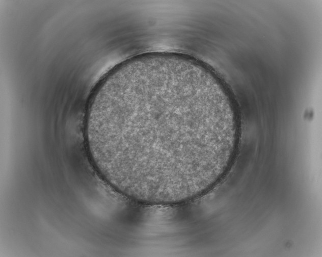 X0000091711314200709141112