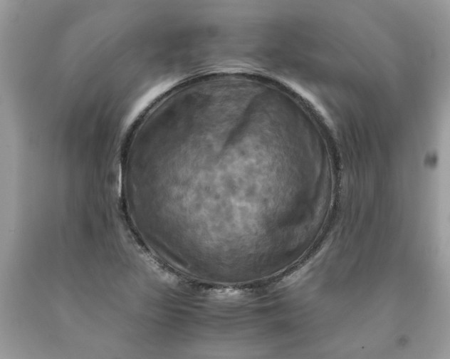 X0000091711317200709141112