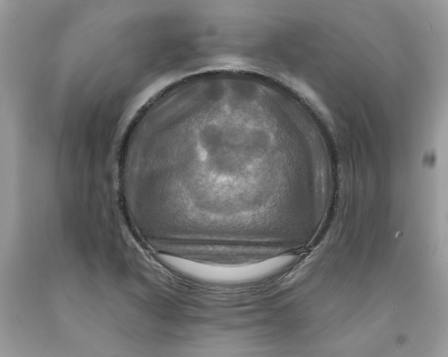 X0000091711318200709141112