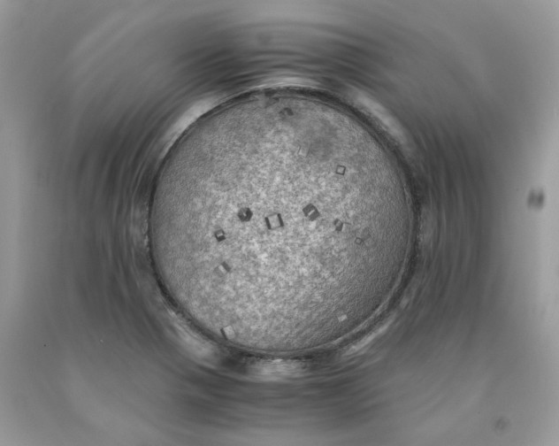 X0000091711321200709141112