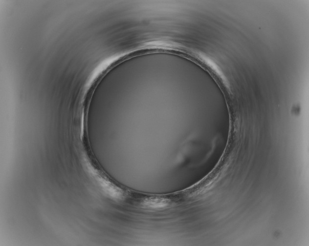 X0000091711323200709141112