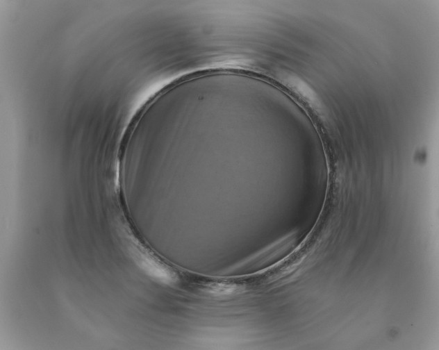 X0000091711324200709141112