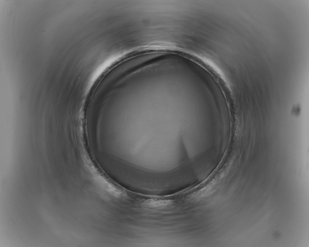 X0000091711325200709141112