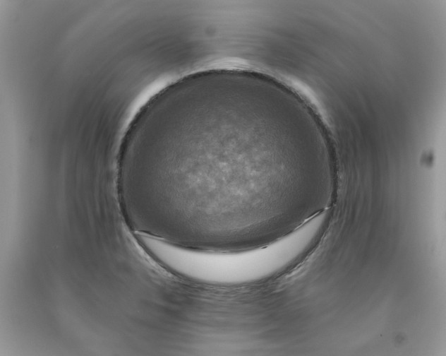 X0000091711326200709141112