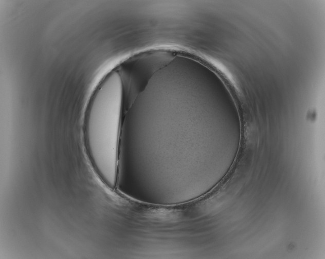 X0000091711327200709141112