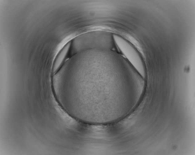 X0000091711330200709141112