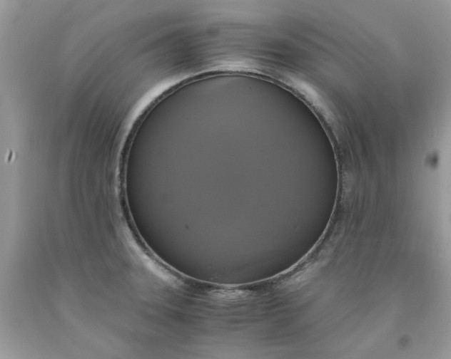 X0000091711331200709141112