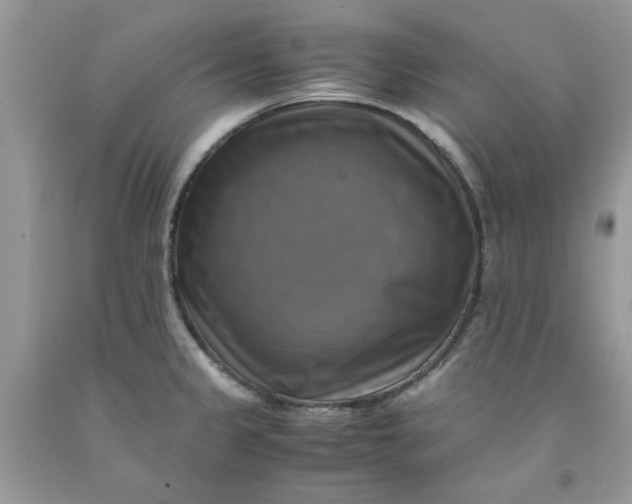 X0000091711333200709141112