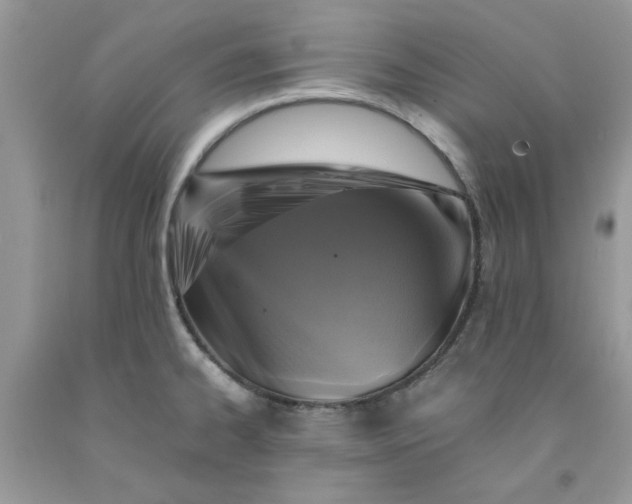 X0000091711334200709141112