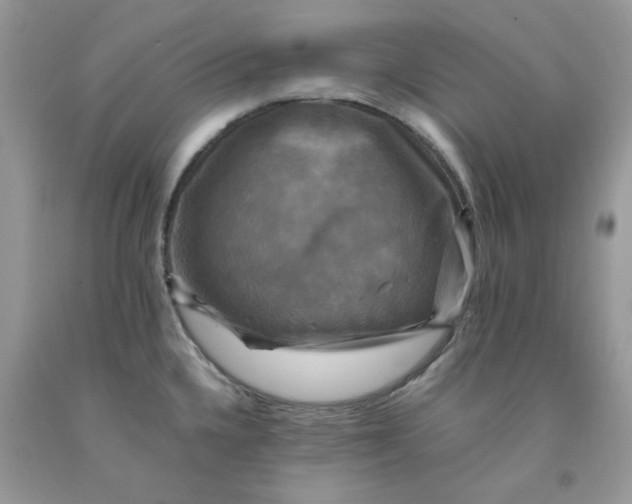 X0000091711336200709141112