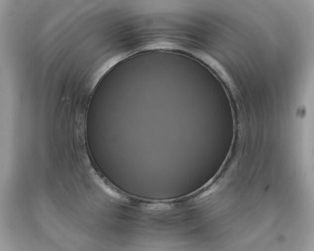 X0000091711337200709141112