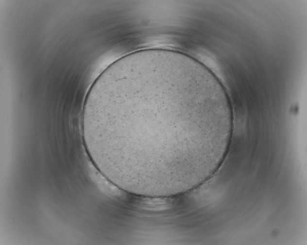 X0000091711338200709141112