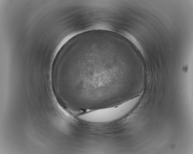 X0000091711339200709141112