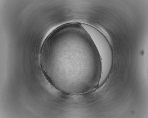 X0000091711340200709141112