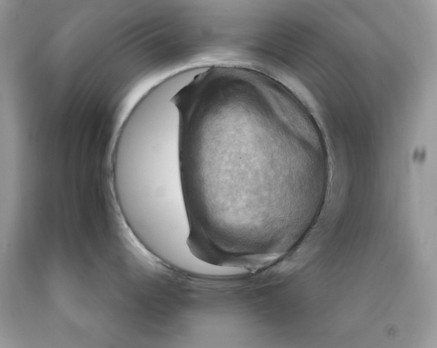 X0000091711344200709141112