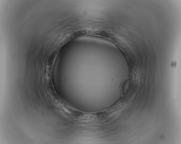 X0000091711346200709141111