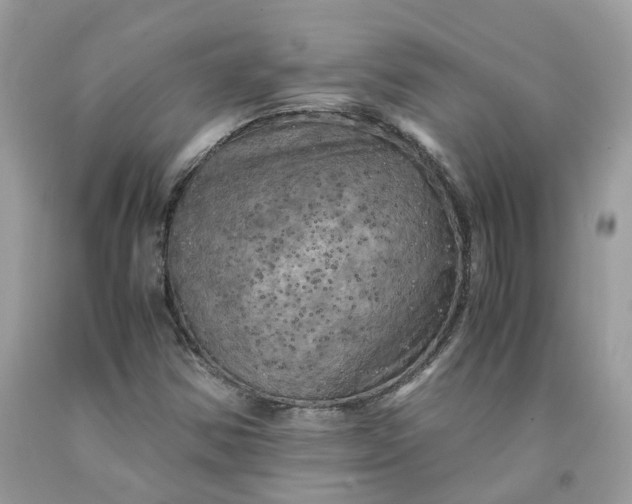 X0000091711354200709141111