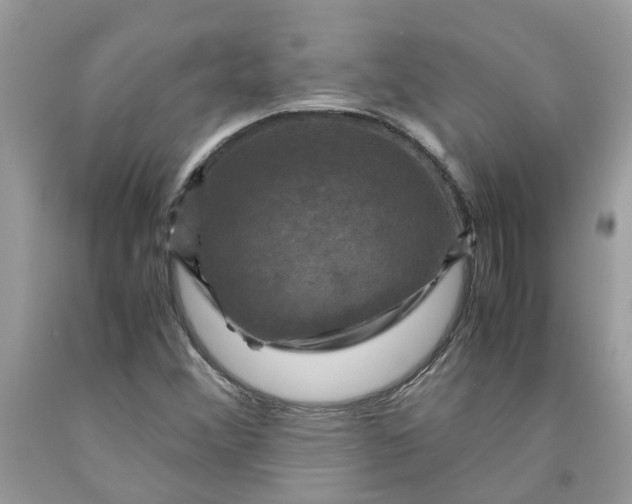 X0000091711356200709141111