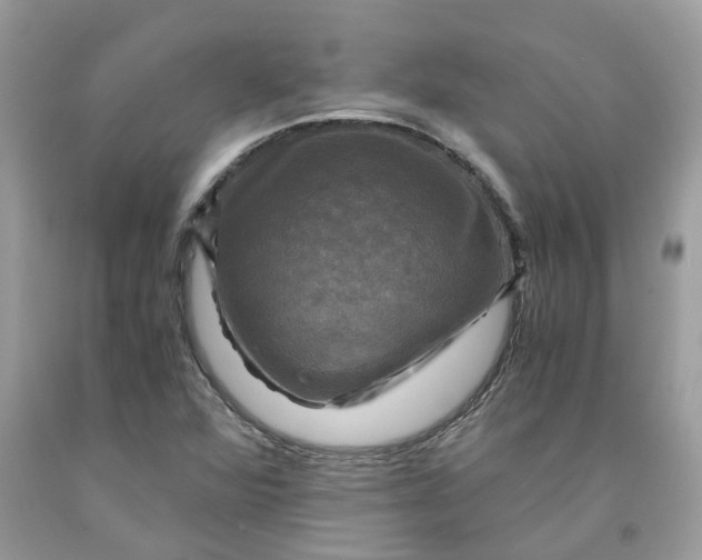 X0000091711360200709141111