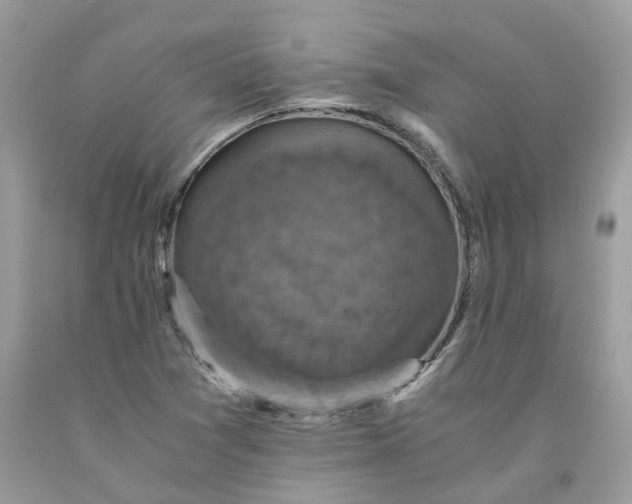 X0000091711361200709141111