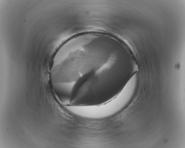 X0000091711363200709141111