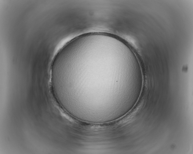 X0000091711366200709141111