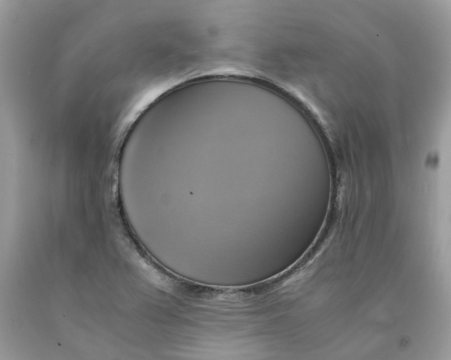 X0000091711367200709141111