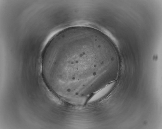 X0000091711368200709141111