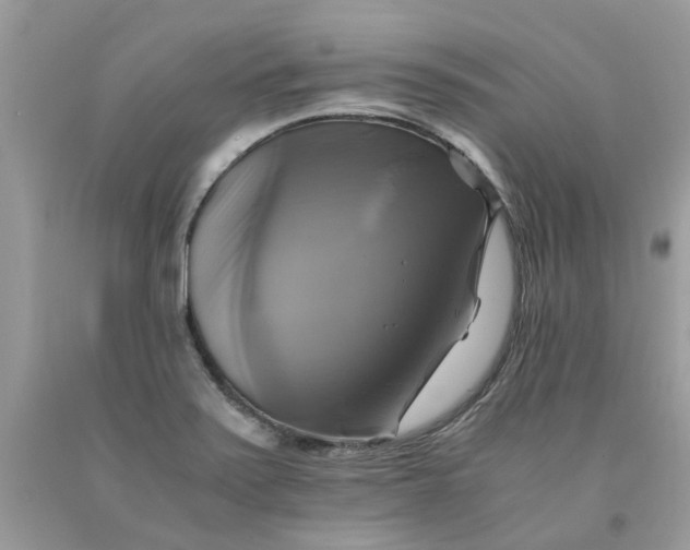 X0000091711371200709141111