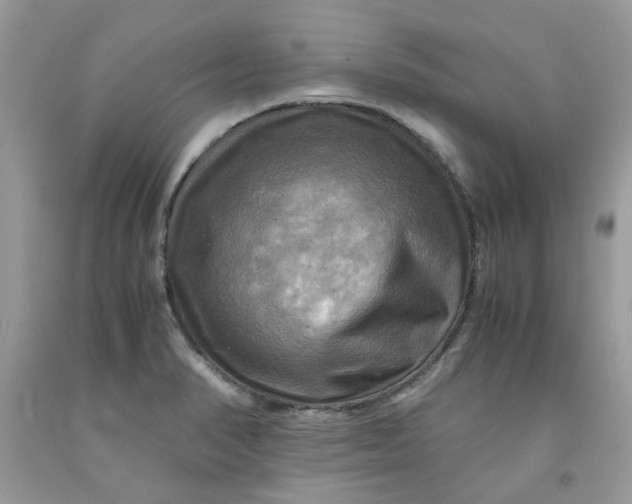 X0000091711374200709141111