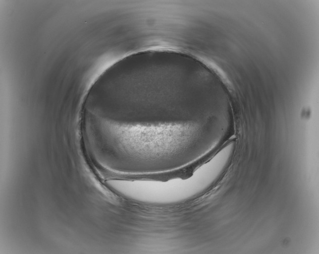 X0000091711375200709141111