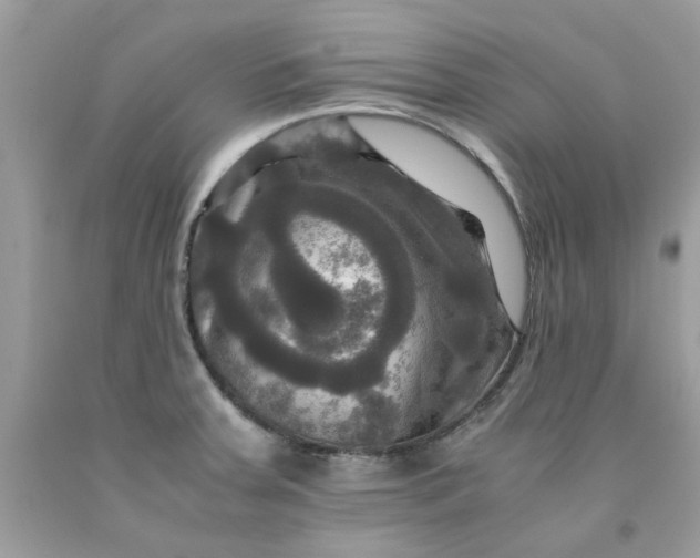 X0000091711379200709141111