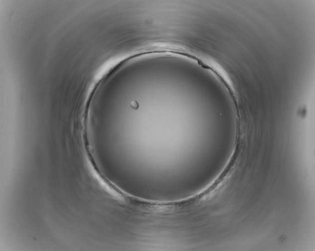 X0000091711381200709141111