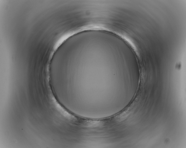 X0000091711382200709141111