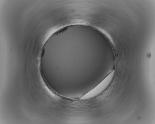 X0000091711383200709141111