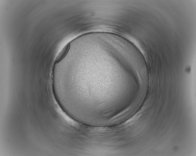 X0000091711387200709141111