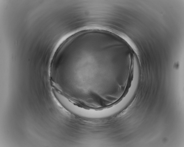 X0000091711388200709141111