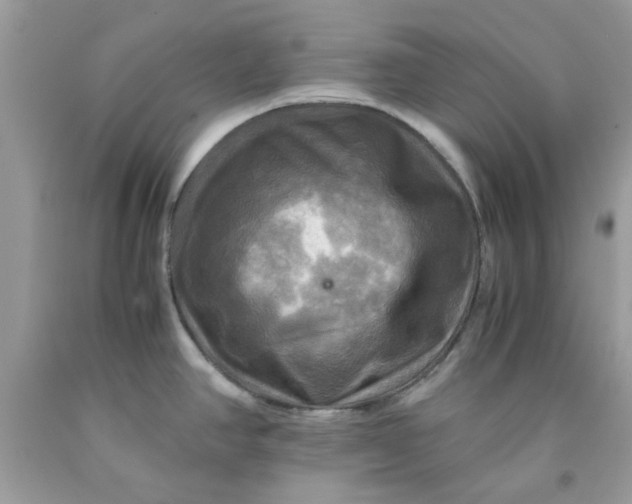 X0000091711390200709141111