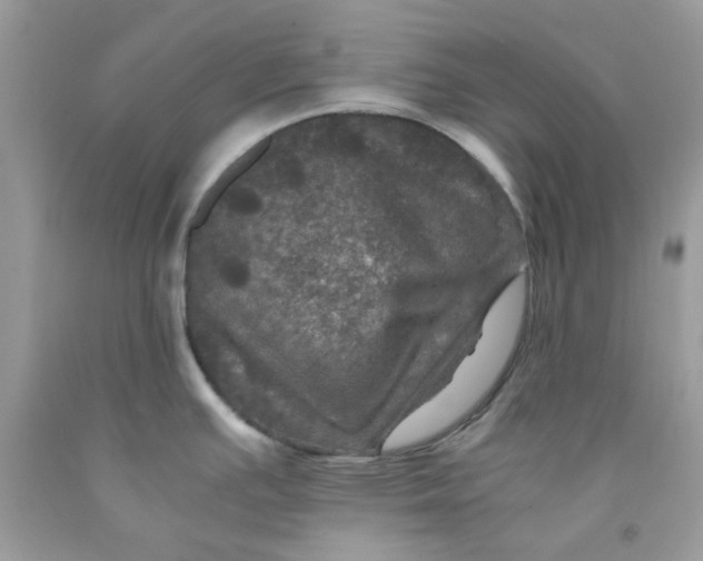 X0000091711391200709141111